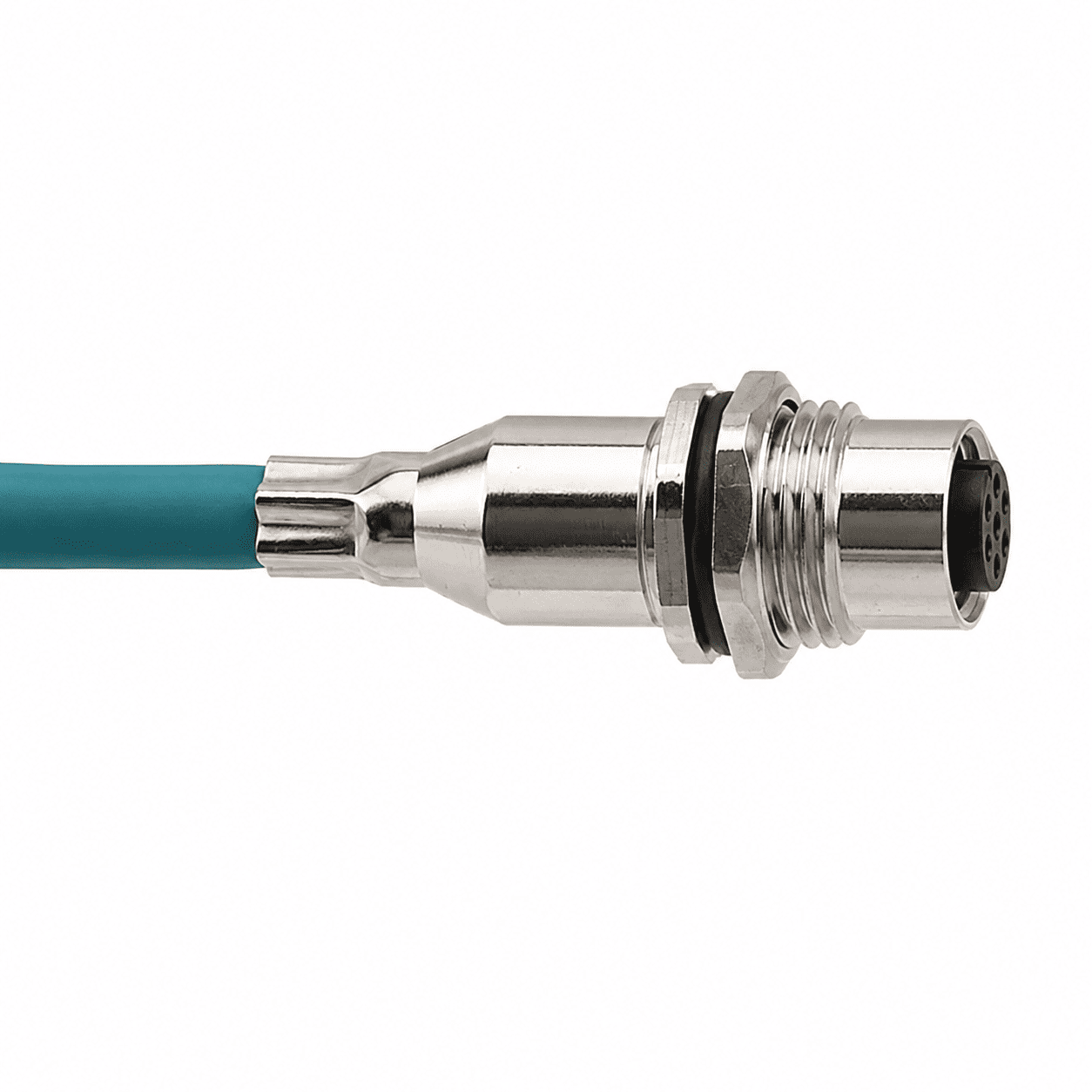 M12 Data Type X-Coded Back Mount Female Shielded Socket with Cable Assembly – 1M / 2M / 5M